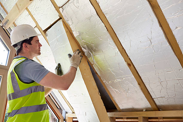 Best Insulation Inspection Services  in South Hempstead, NY